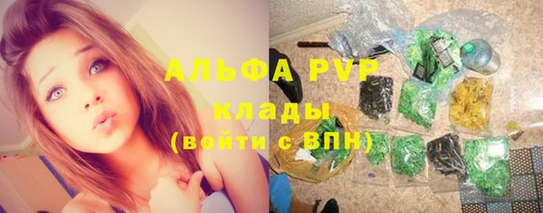 твердый Вязьма