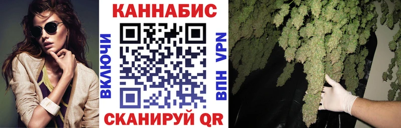 Конопля SATIVA & INDICA  Купить  Майский 